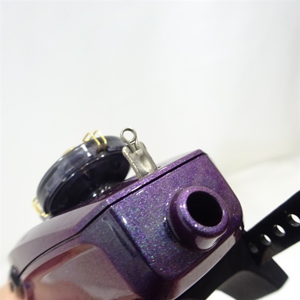 ２１クリスティアワカサギＣＲＴ Ｒ＋Ｍパープル